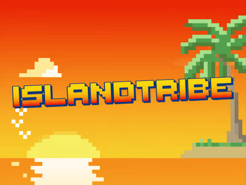 Cover image for Lead Developer - IslandTribe