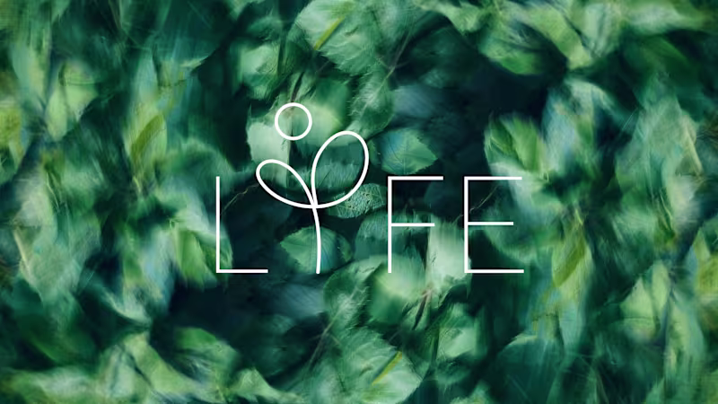 Cover image for Lyfe — Cardiac Care Platform Branding
