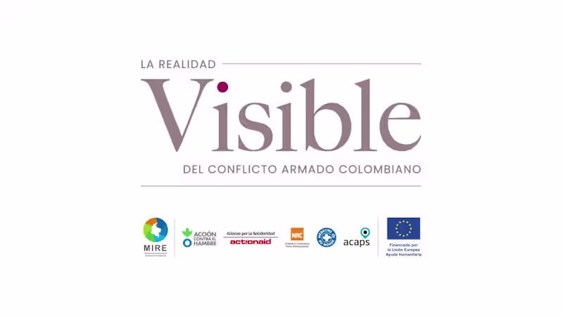 Cover image for VISIBLE | Realizador/Edición | 2022 - 2023