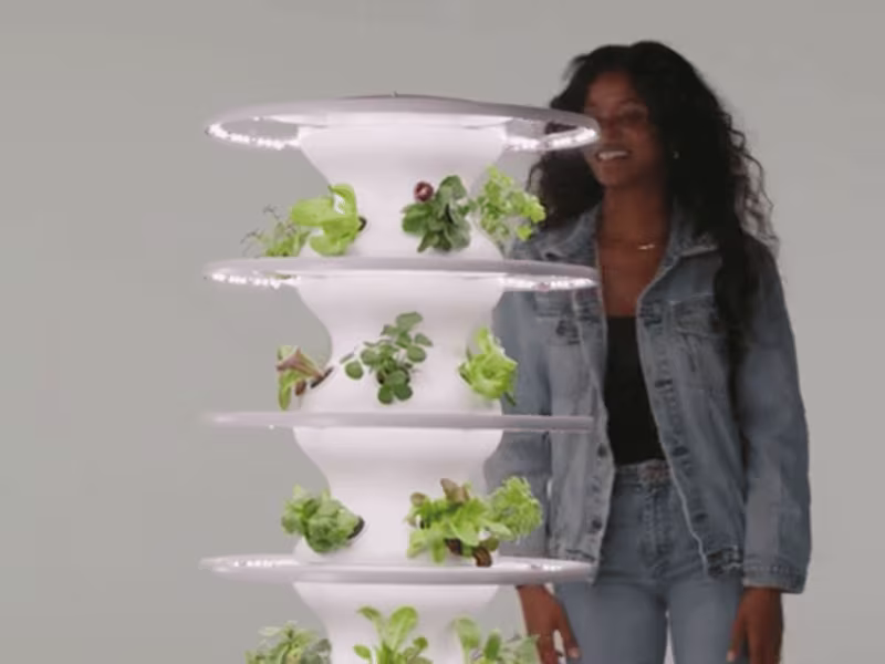 Cover image for Redesigned Lettuce Grow's Home Page