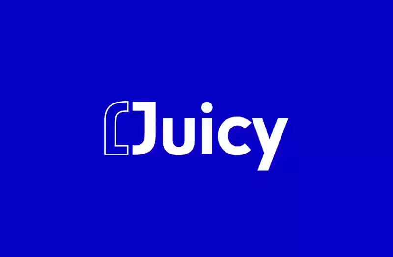 Cover image for Juicy Branding & Development