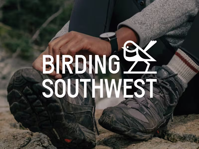 Cover image for Birding Southwest | Brand Identity + Website