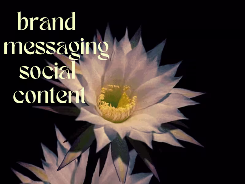 Cover image for Candid Brand Messaging Guidelines + TikTok Strategy/Execution