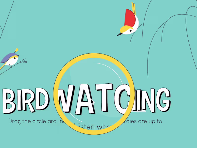 Cover image for Bird Watching