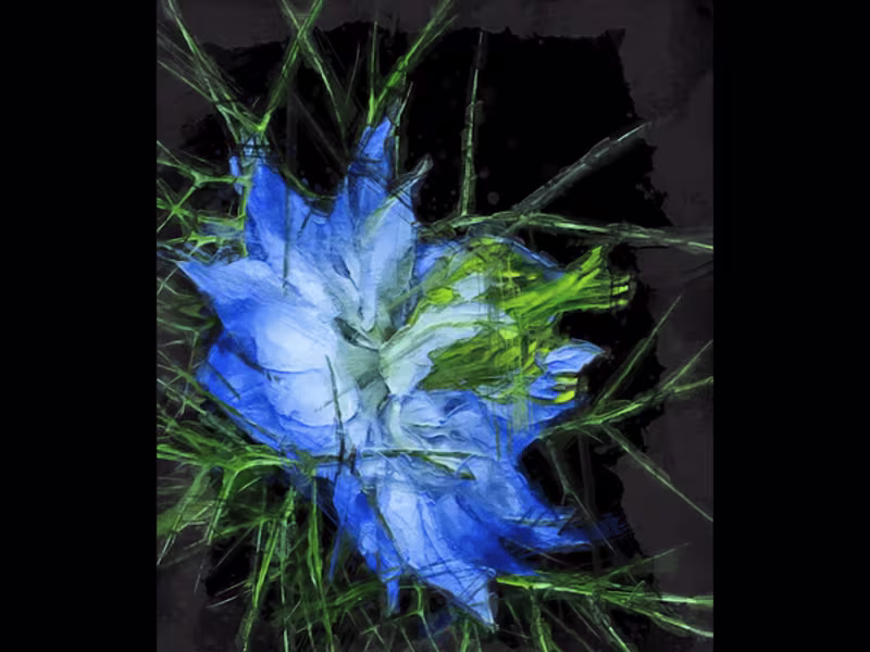 Cover image for Stop Motion 