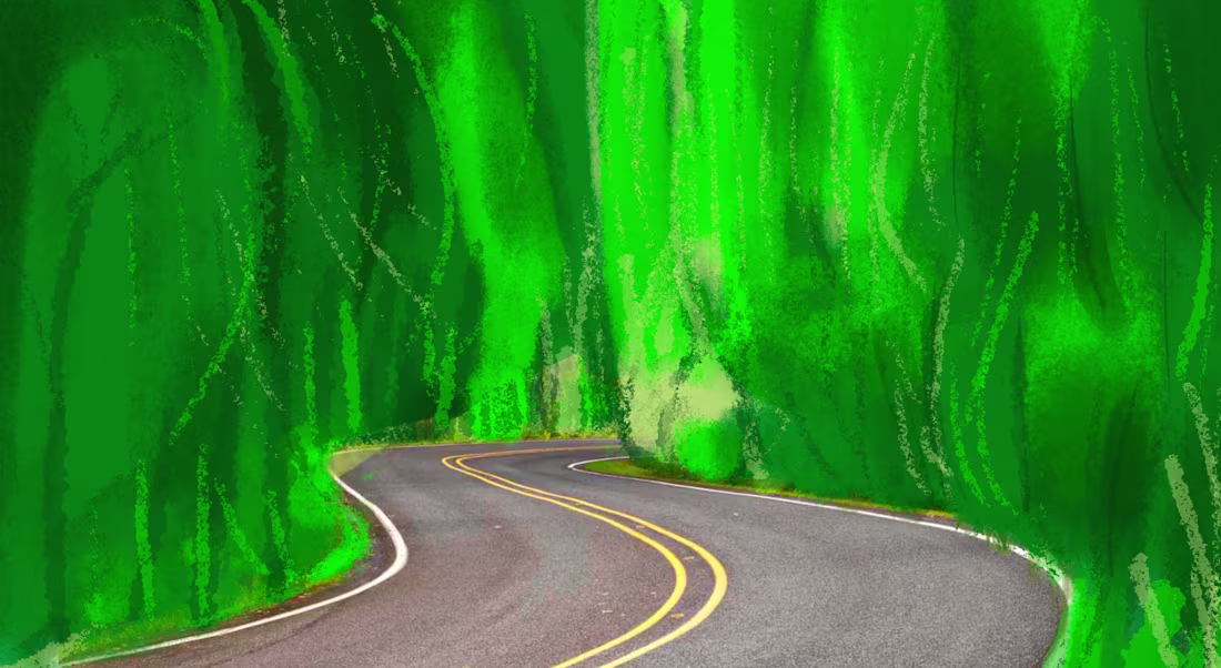 Cover image for Forest Road