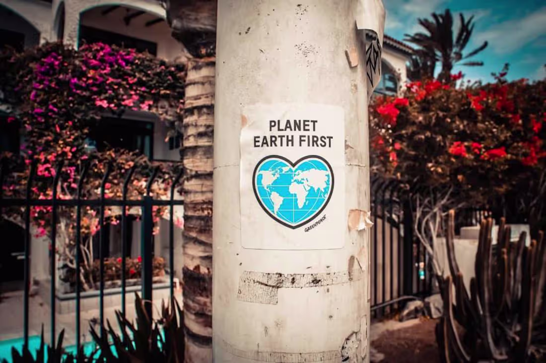 Cover image for 5 Reasons Why Businesses Need to Prioritize Sustainability