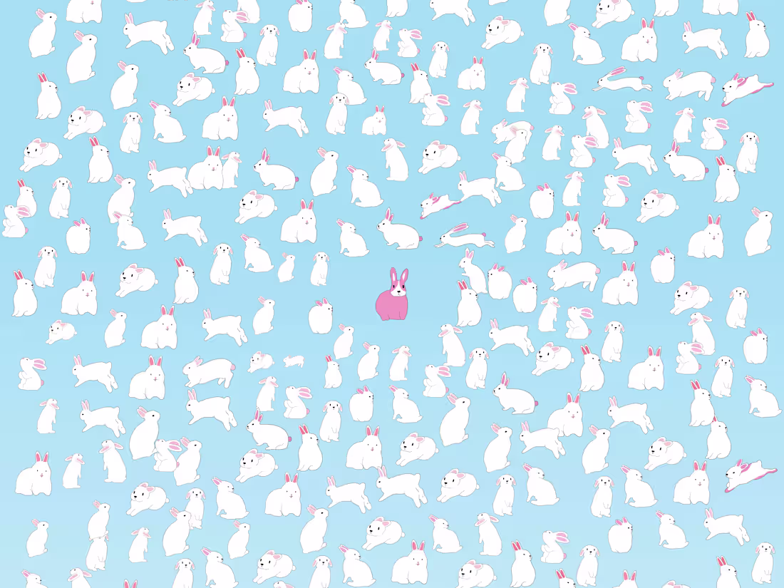 Cover image for Rabbit 