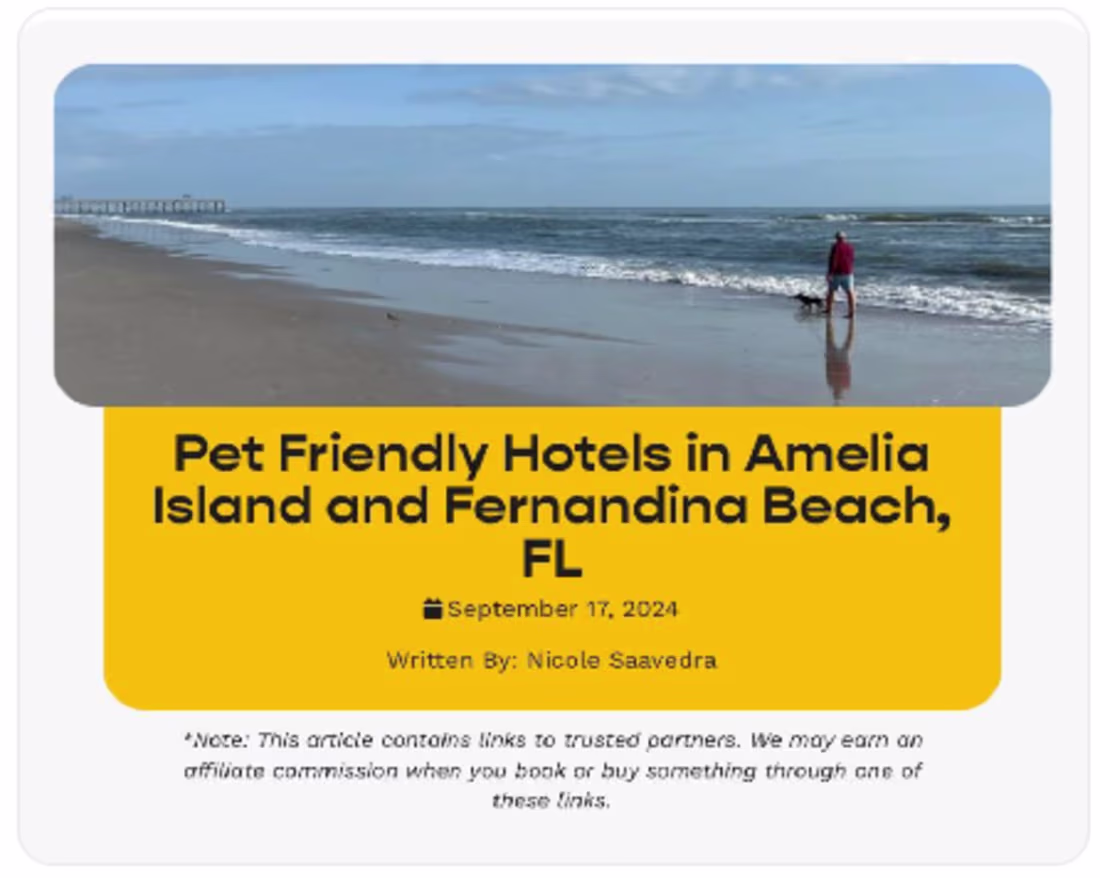 Cover image for Pet-Friendly Hotels Article for Jet Set Pets