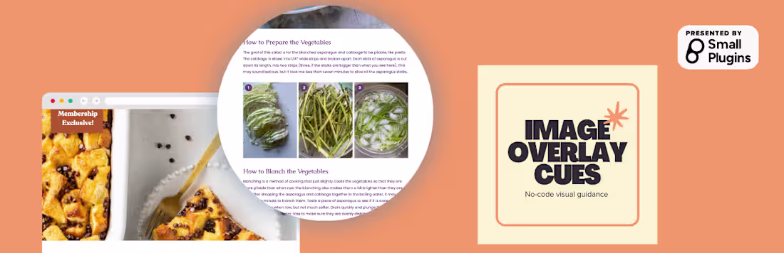 Cover image for This WordPress plugin allows users