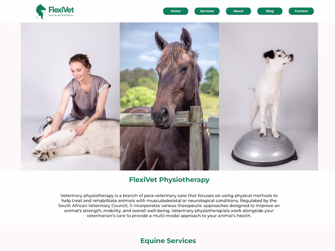 Cover image for FlexiVet Figma Prototype