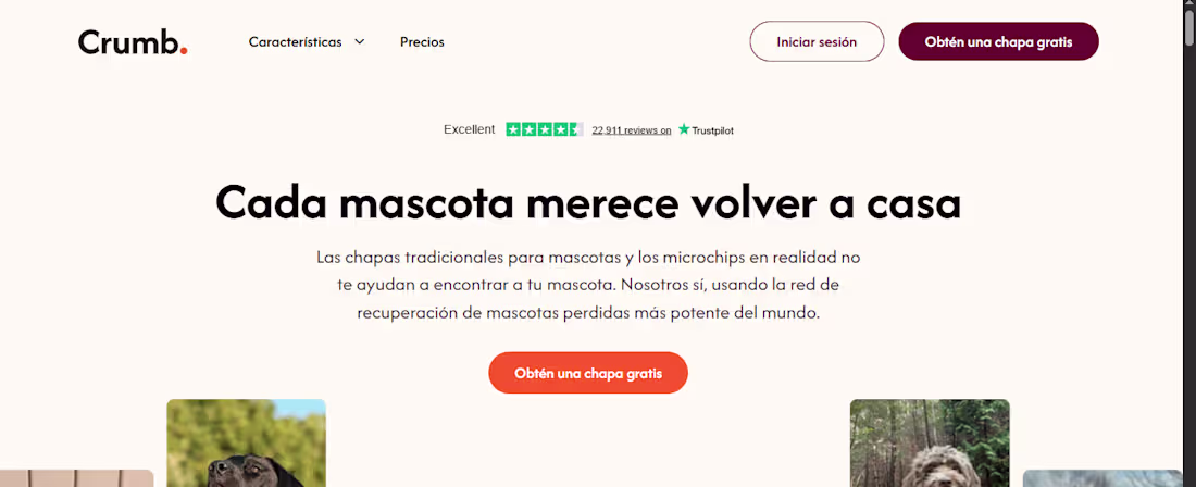 Cover image for Ongoing translation of a website