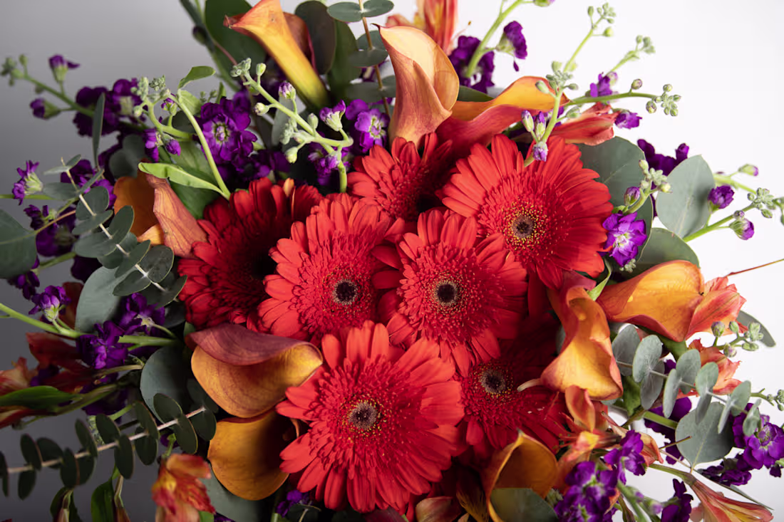 Cover image for Select Floral Stylings