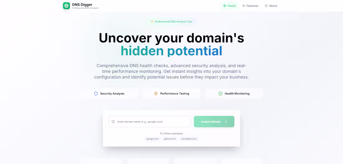 Cover image for DNS Digger