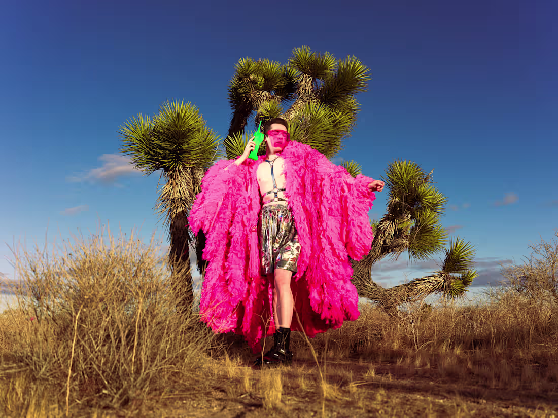 Cover image for Hollyweird