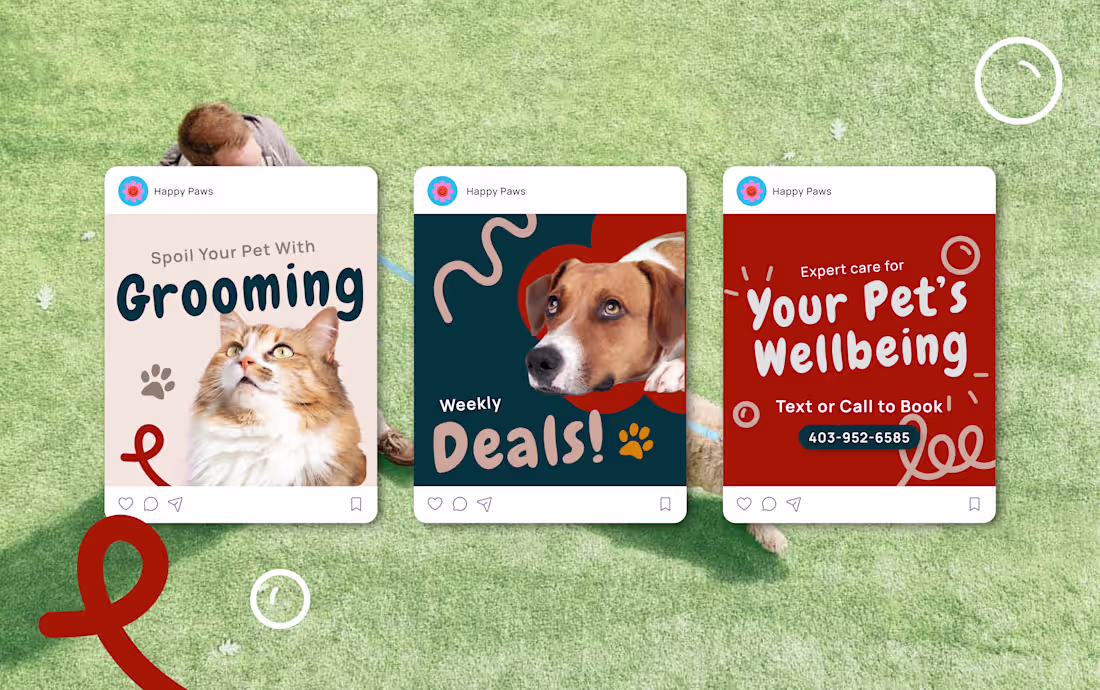 Cover image for Ads for Local Pet Care Services