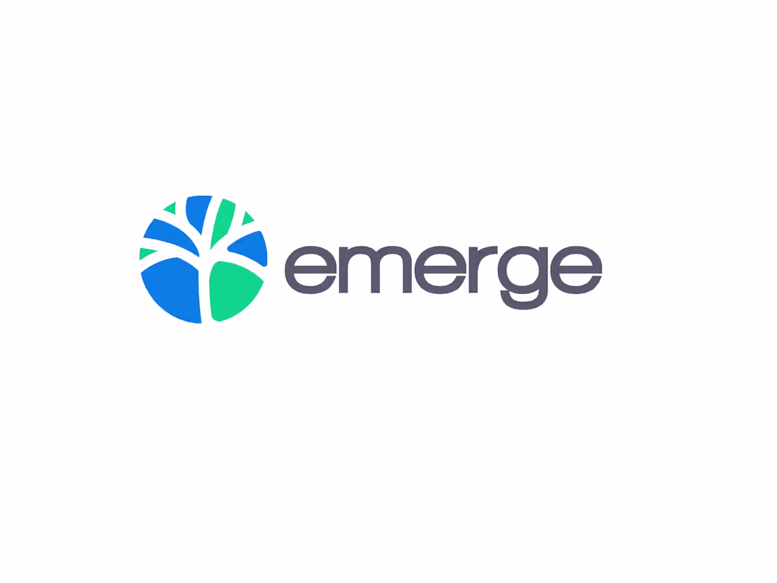 Cover image for Emerge