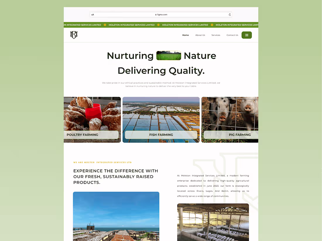 Cover image for Website for a farm