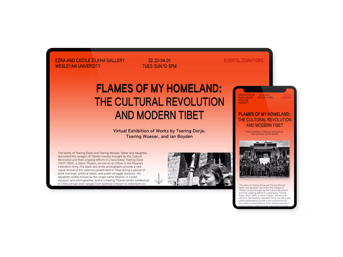 Cover image for flamesofmyhomeland.org