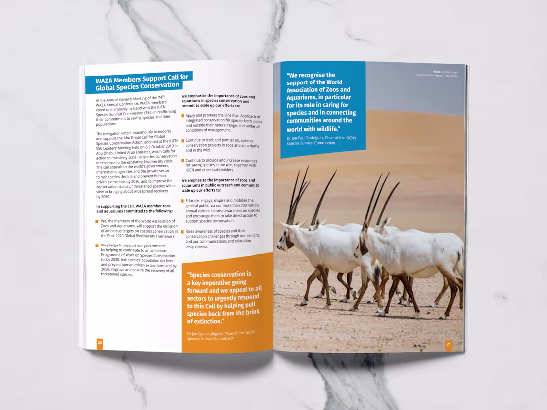 Cover image for Designer for non-profit organisation of their publications