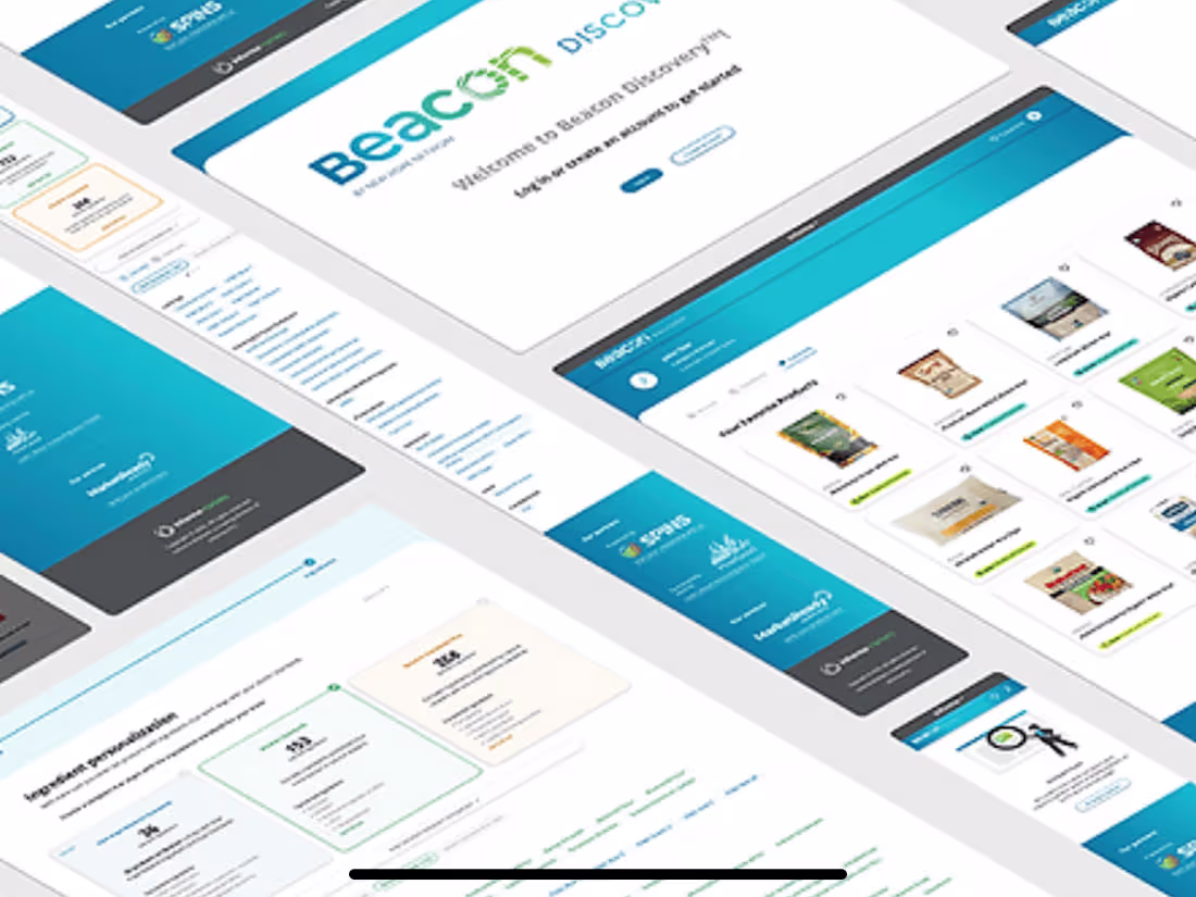 Cover image for Beacon Discovery | Erin Miller