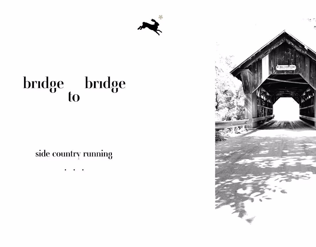 Cover image for Bridge to Bridge