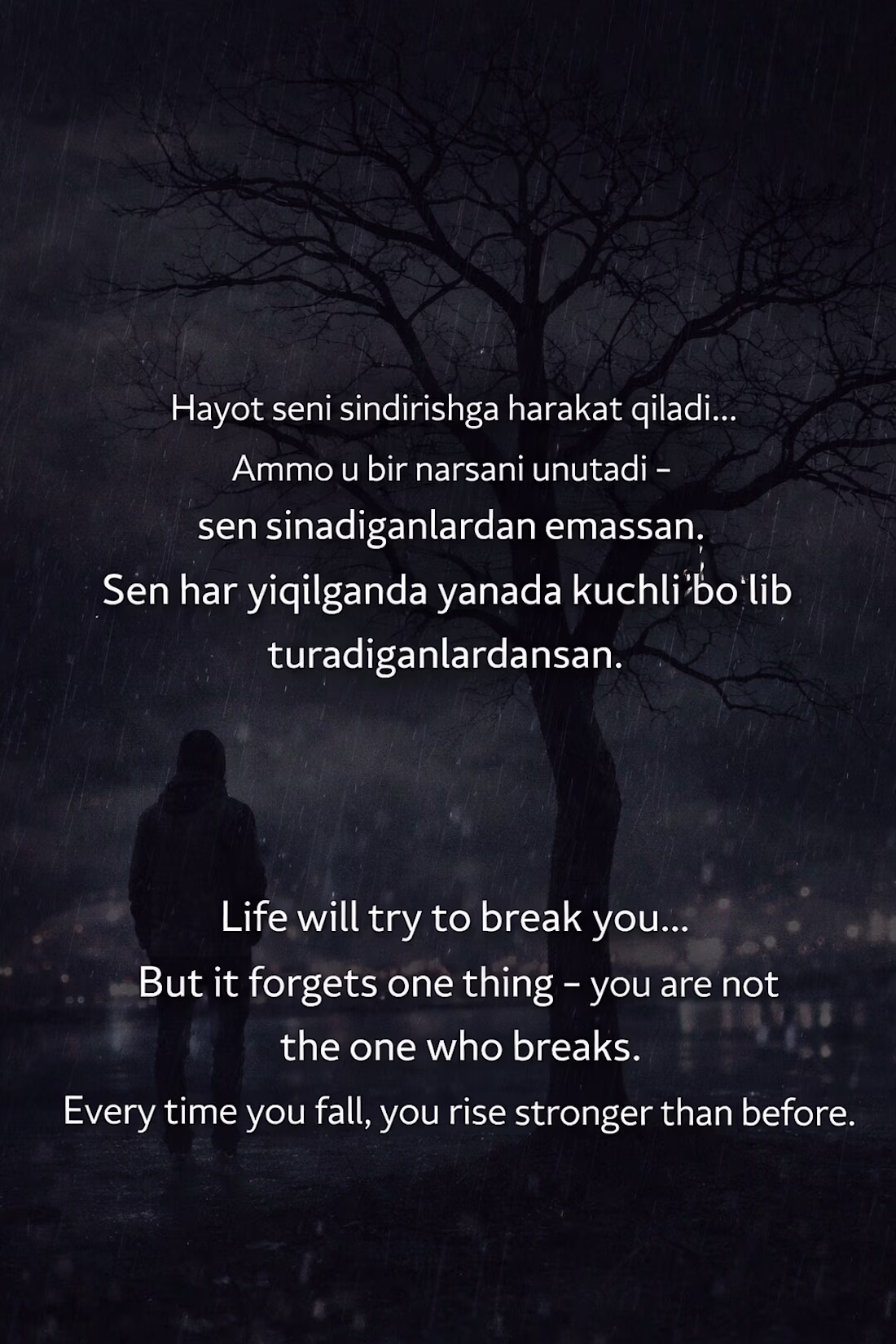 Cover image for Life will try to break