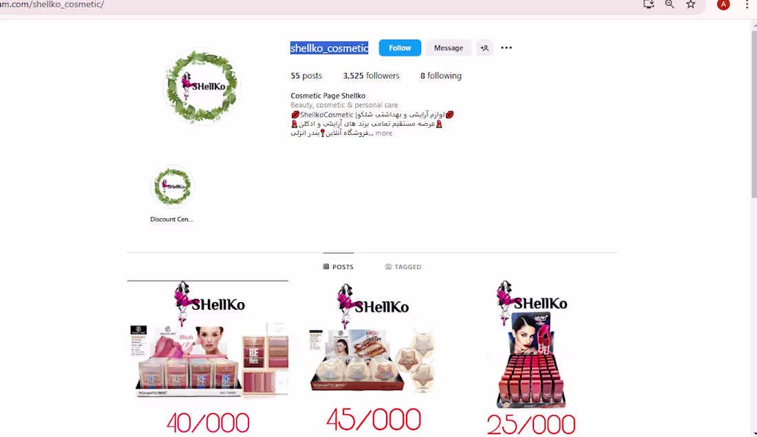 Cover image for Social media management of shellko_cosmetic