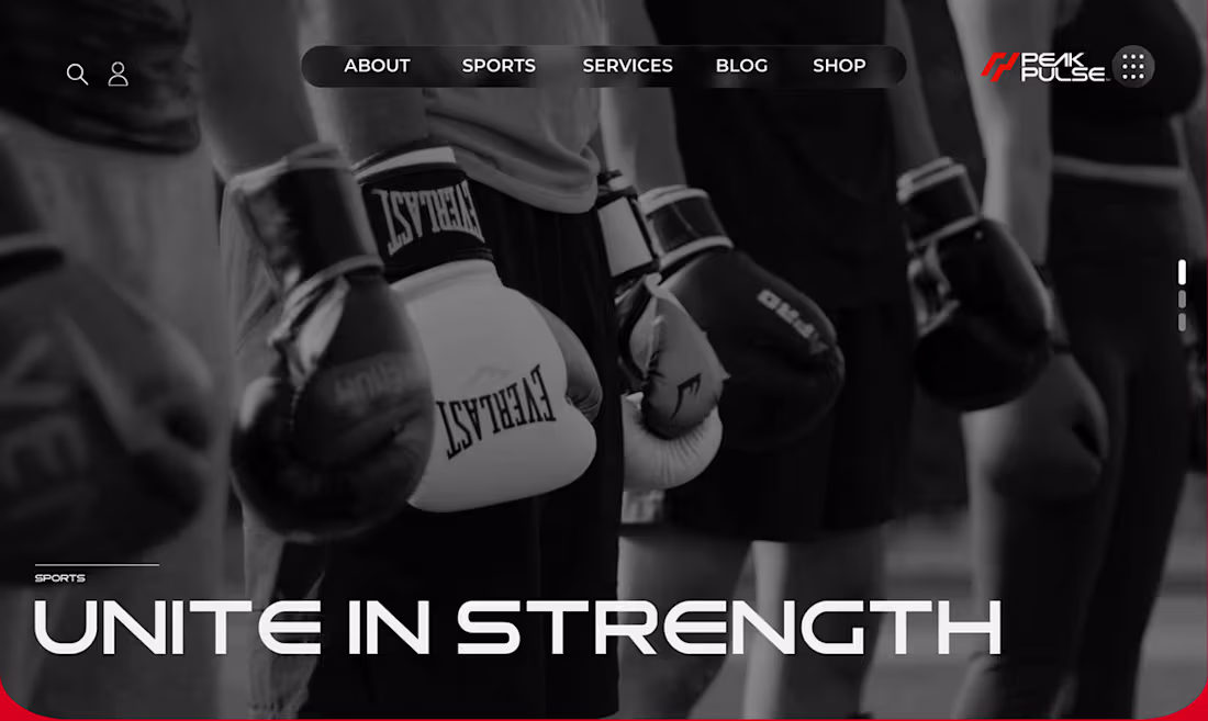 Cover image for Peak Pulse Martial Arts Academy™ I Website Design:: Behance