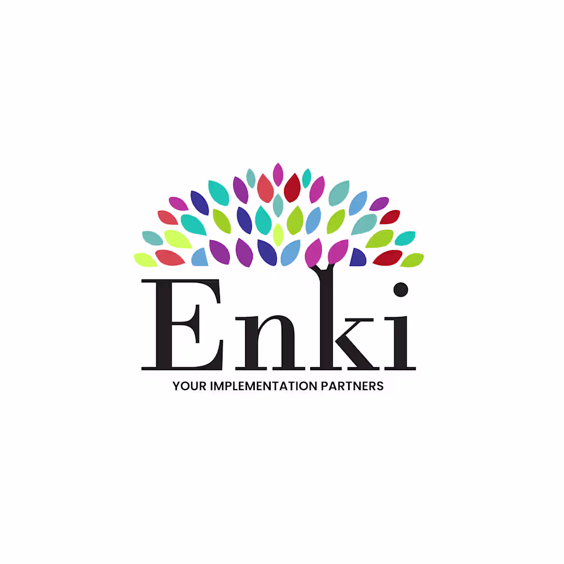 Cover image for Enki Business Solutions