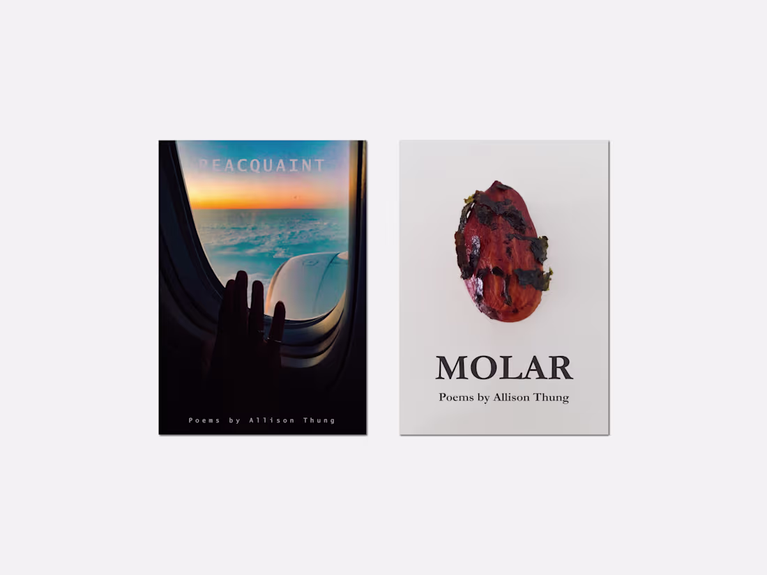 Cover image for Published Poet