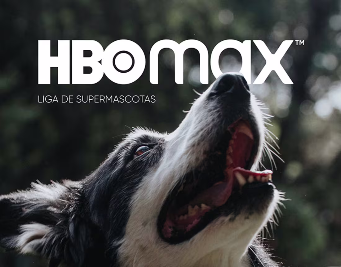 Cover image for Experiencia - DC Liga de Supermascotas