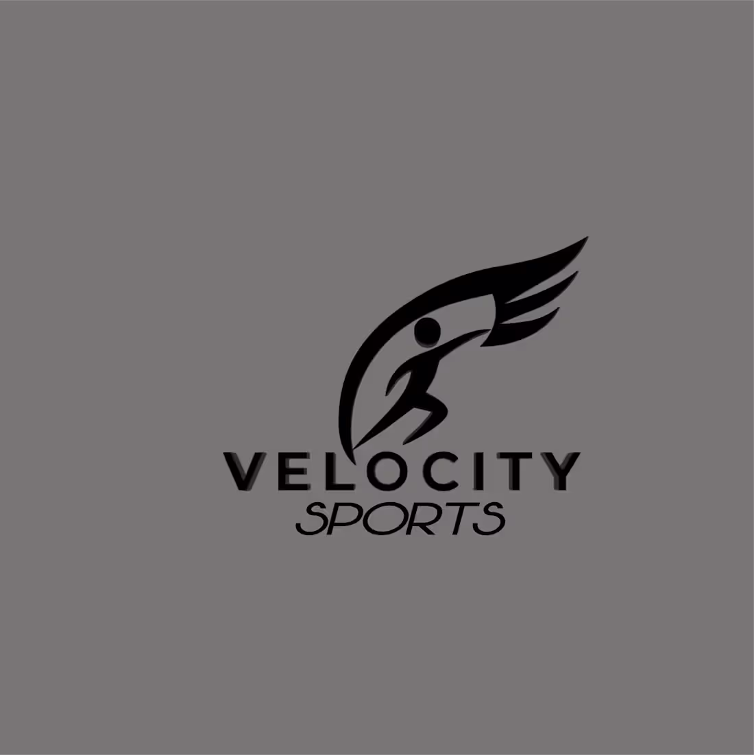 Cover image for Velocity Sports embodies speed, strength,
