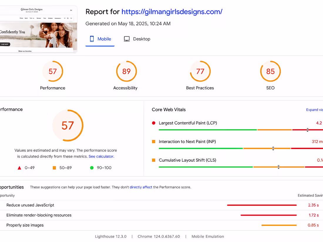 Cover image for Shopify Performance Audit: Uncovering Revenue