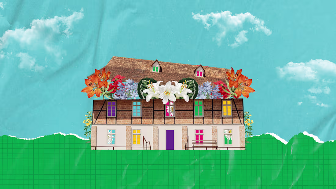 Cover image for Hering Museu — Educational video collage