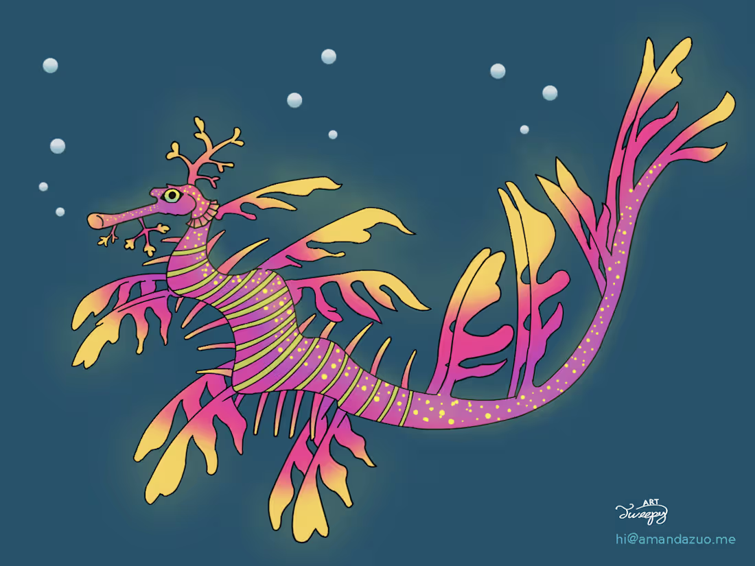 Cover image for Leafy Seadragon Design