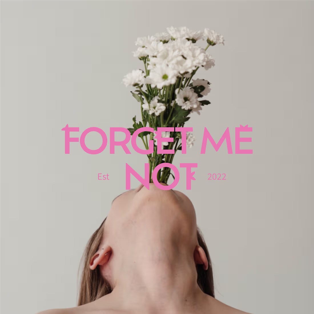 Cover image for - Portfolio