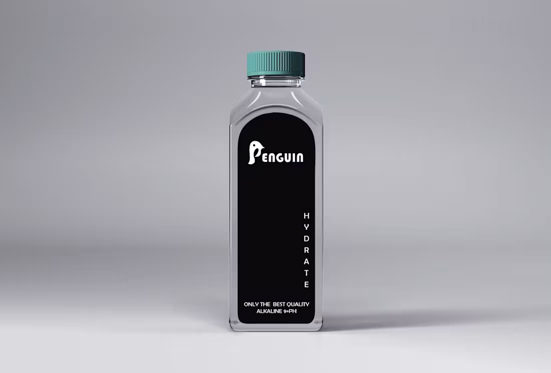 Cover image for Penguin is a made up