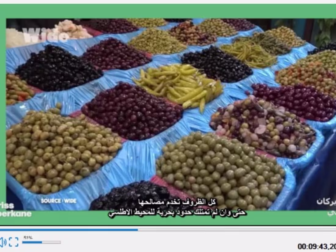 Cover image for English/French & Arabic subtitles translator