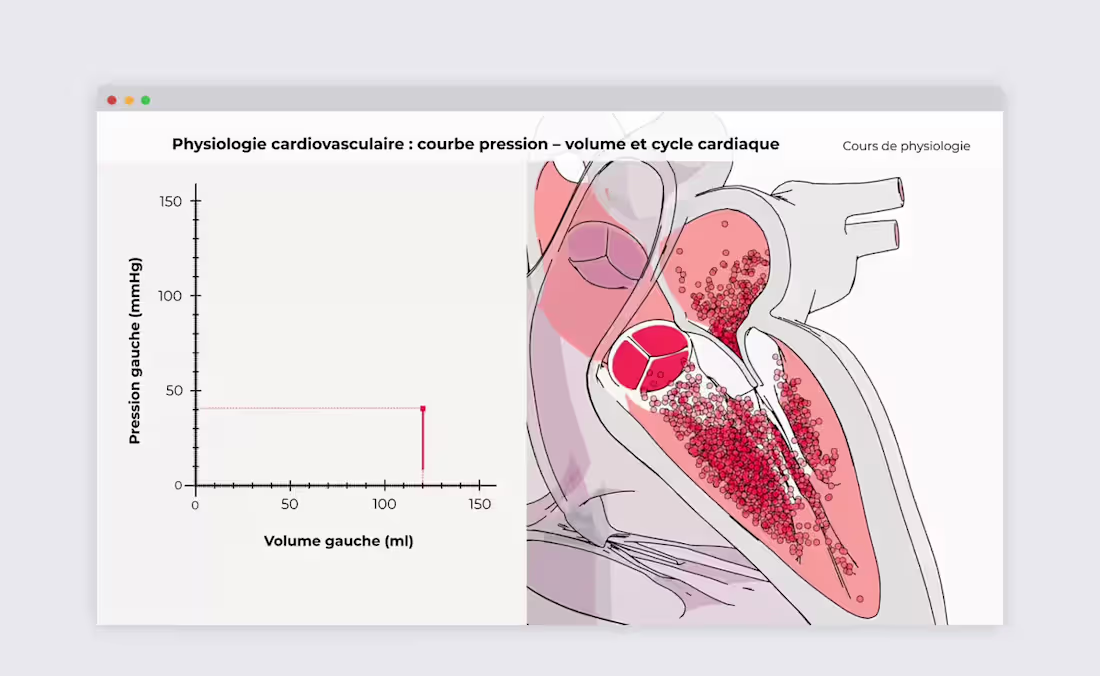 Cover image for Cardiovascular Physiology Animation Series
