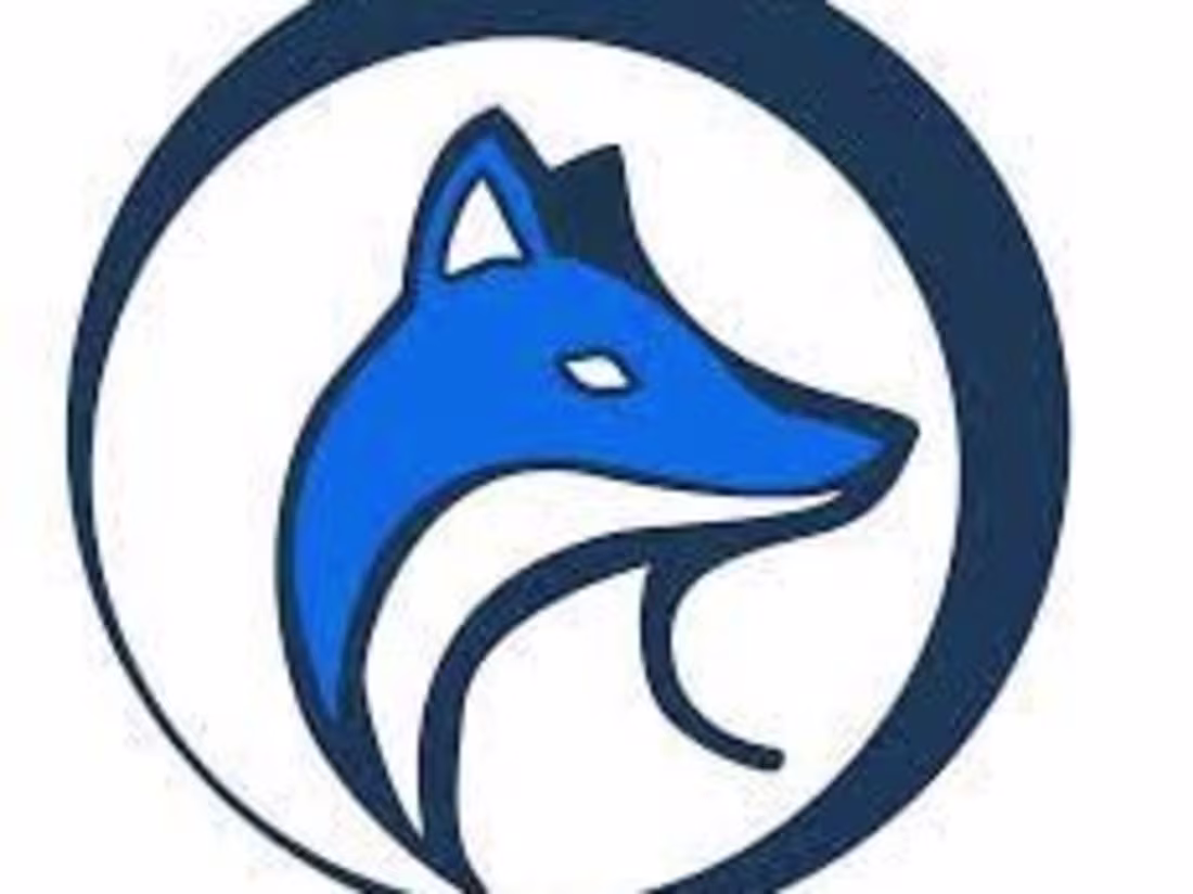 Cover image for FoxyLabs