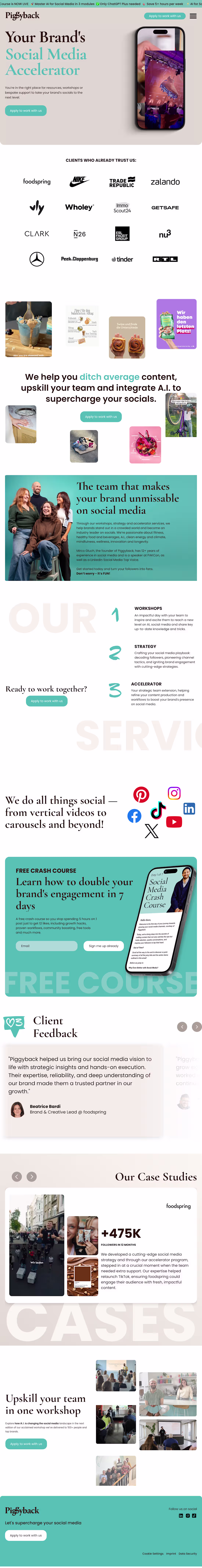 Cover image for Website Design and Development for Piggyback