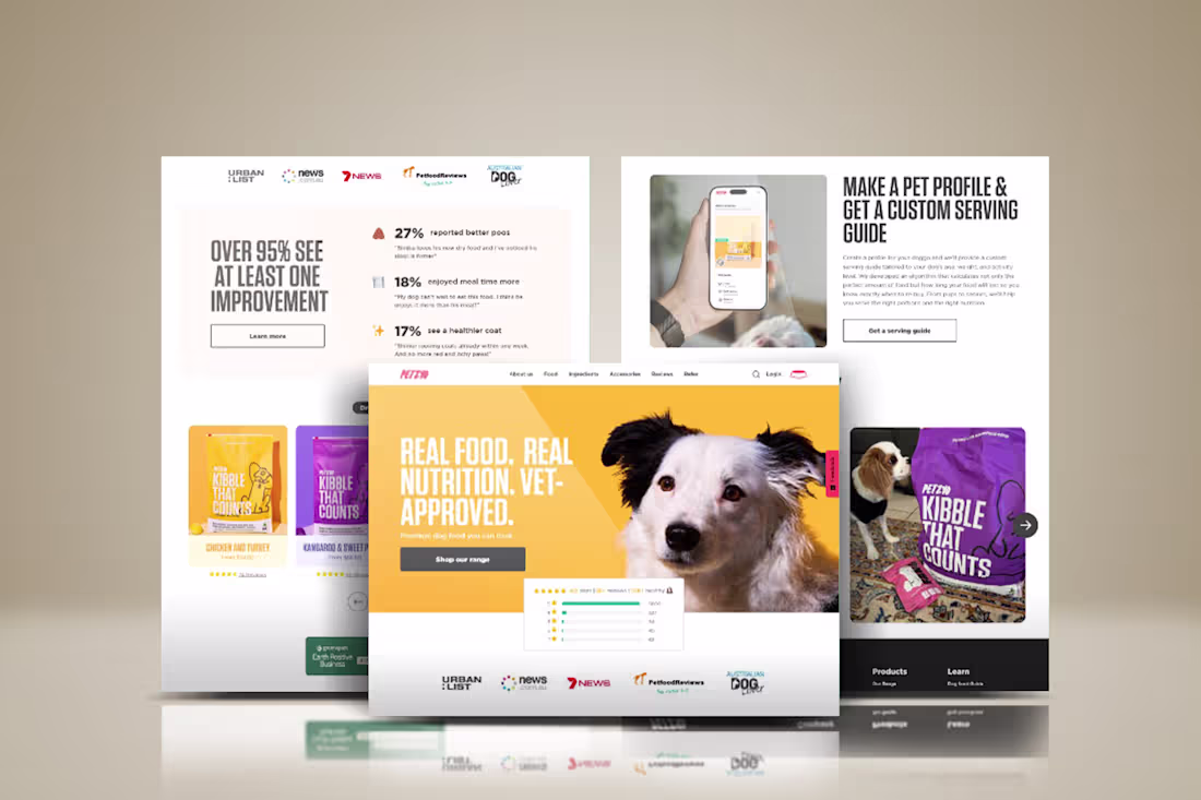 Cover image for Website design to increase income