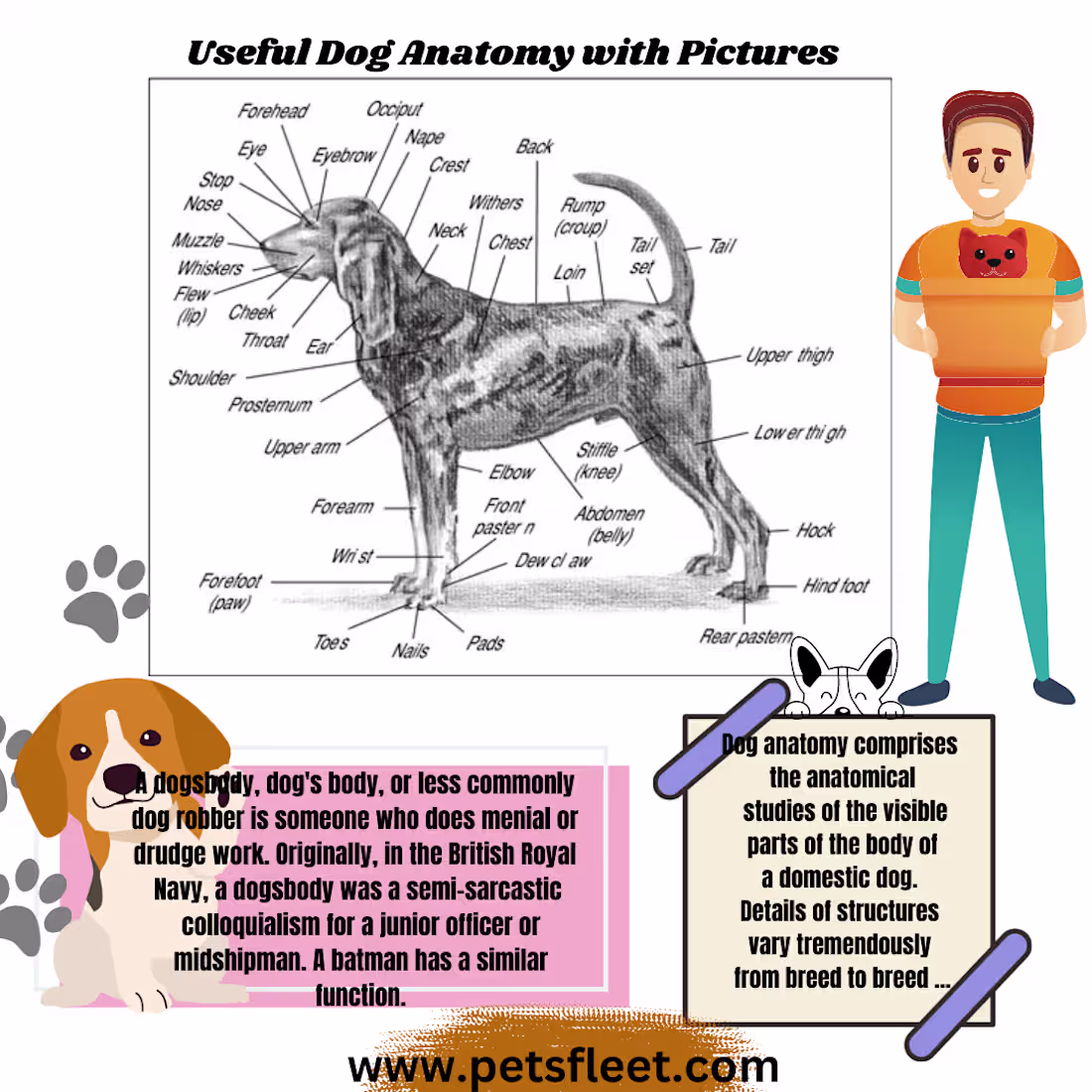 Cover image for infographics design