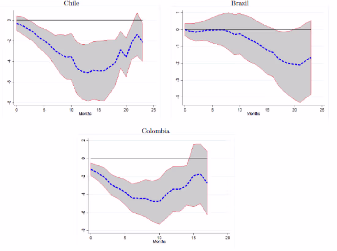Cover image for  The Effect of Commodity Shocks on Developing Economies