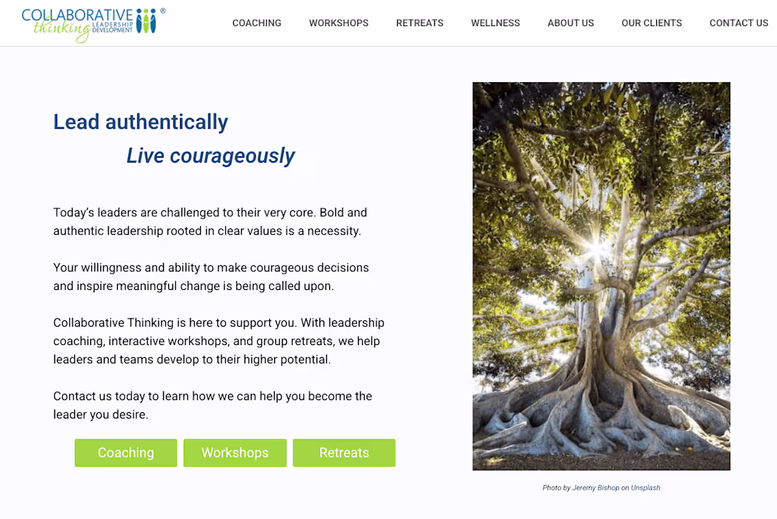 Cover image for Collaborative Thinking Leadership WordPress development