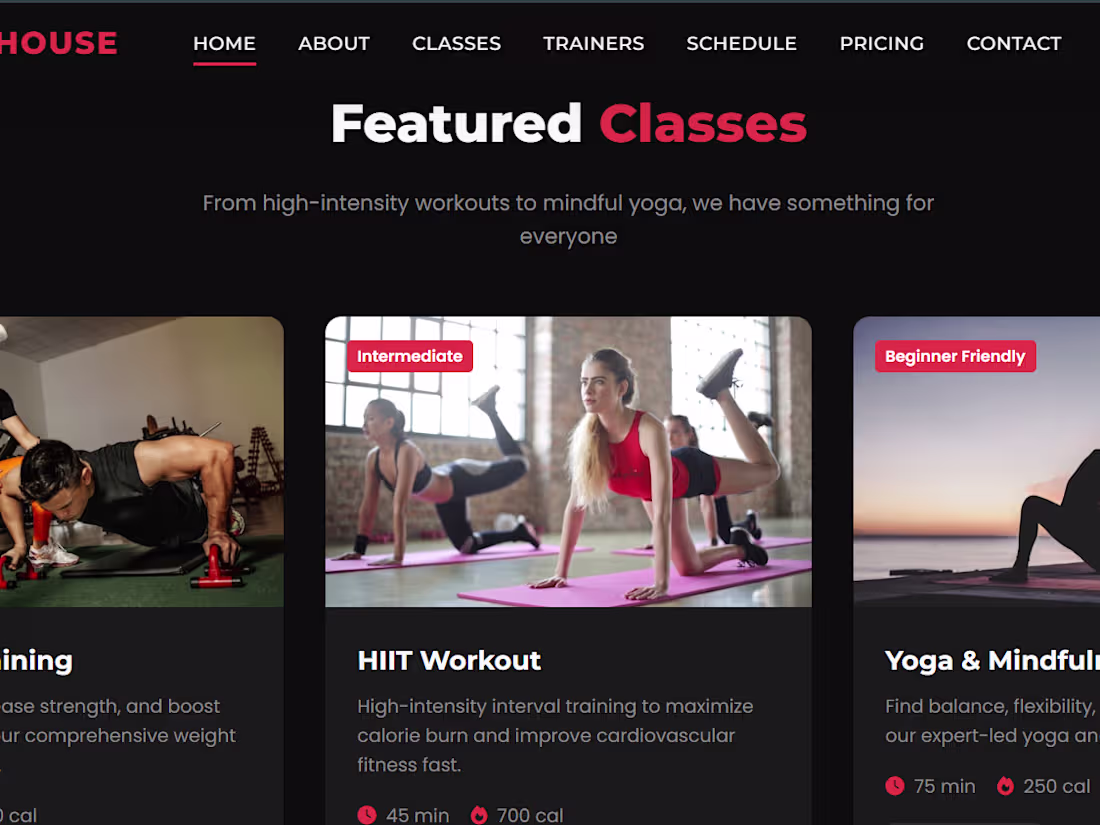 Cover image for Gym Management & Membership System