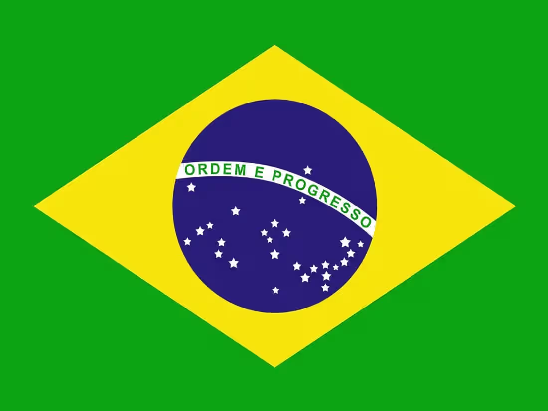 Cover image for I will make a translation from English to Brazilian Portuguese