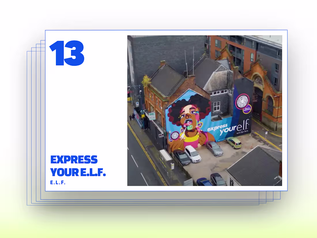 Cover image for Express Your e.l.f.