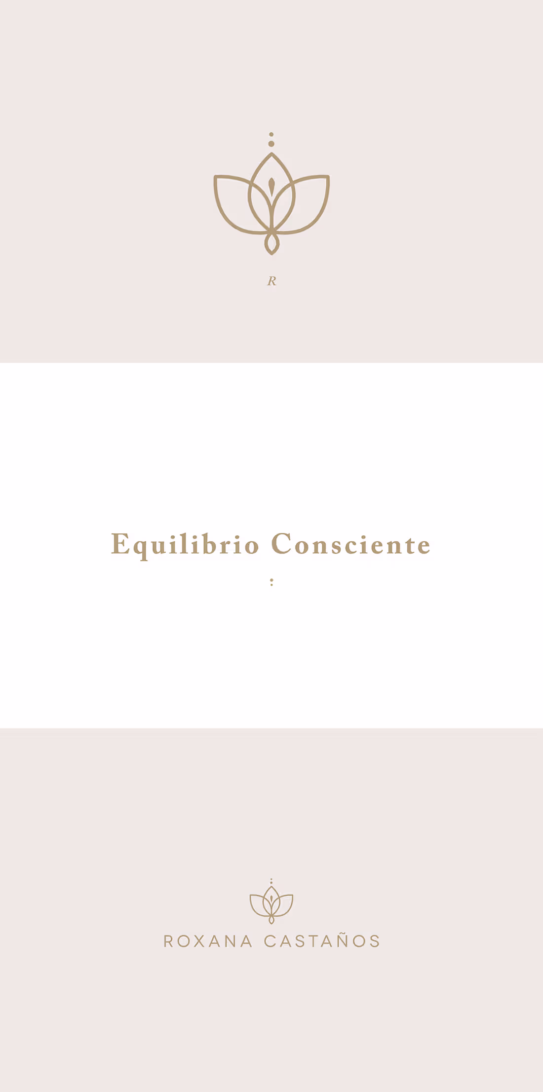 Cover image for Roxana Castaños